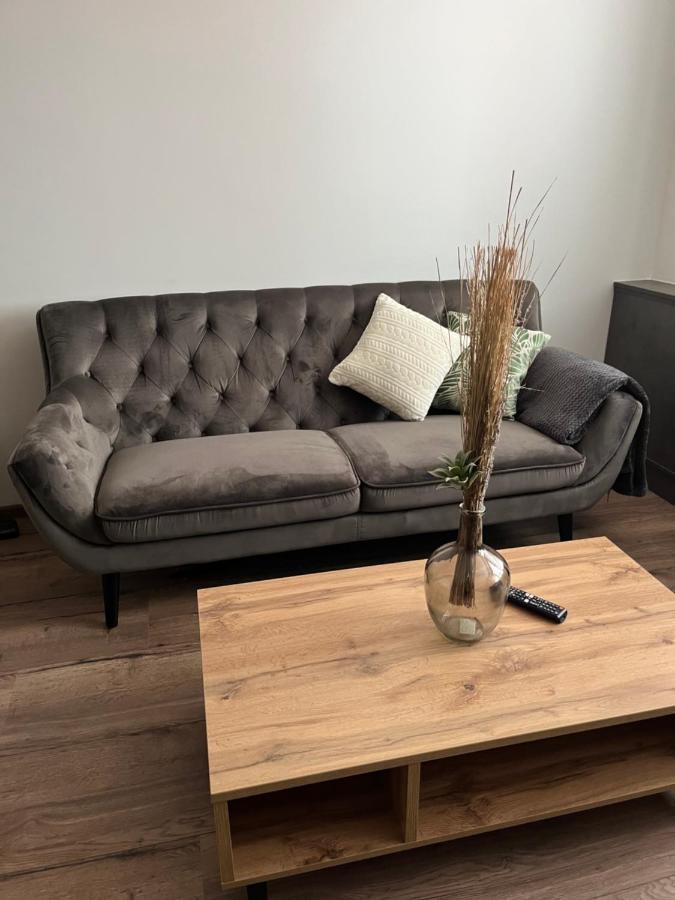 Luxusni Nove Zrekonstruovany Apartman 2Kk - 47M2 - Ostrava Centrum Extérieur photo