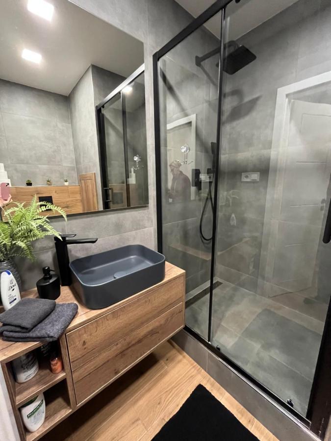 Luxusni Nove Zrekonstruovany Apartman 2Kk - 47M2 - Ostrava Centrum Extérieur photo